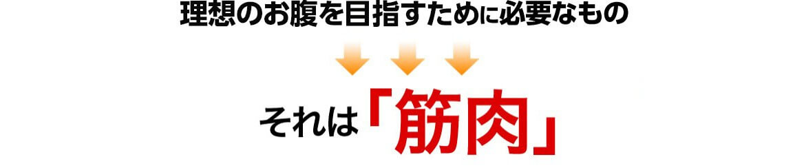 理想のお腹を目指すために必要なもの → それは「筋肉」