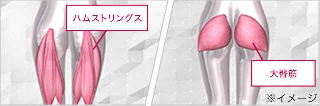 ※イメージ