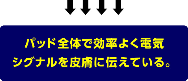 パッド全体で効率よく電気 シグナルを皮膚に伝えている。