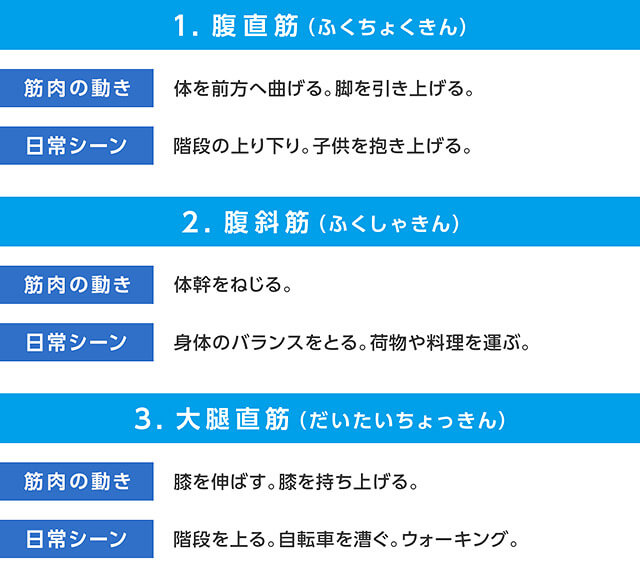 1.腹直筋(ふくちょくきん) 筋肉の動き 体を前方へ曲げる。脚を引き上げる。 日常シーン 階段の上り下り。子供を抱き上げる。 2.腹斜筋(ふくしゃきん) 筋肉の動き 体幹をねじる。 日常シーン 身体のバランスをとる。荷物や料理を運ぶ。 3.大腿直筋(だいたいちょっきん) 筋肉の動き 膝を伸ばす。膝を持ち上げる。 日常シーン 階段を上る。自転車を漕ぐ。ウォーキング。