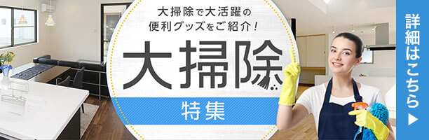 大掃除特集