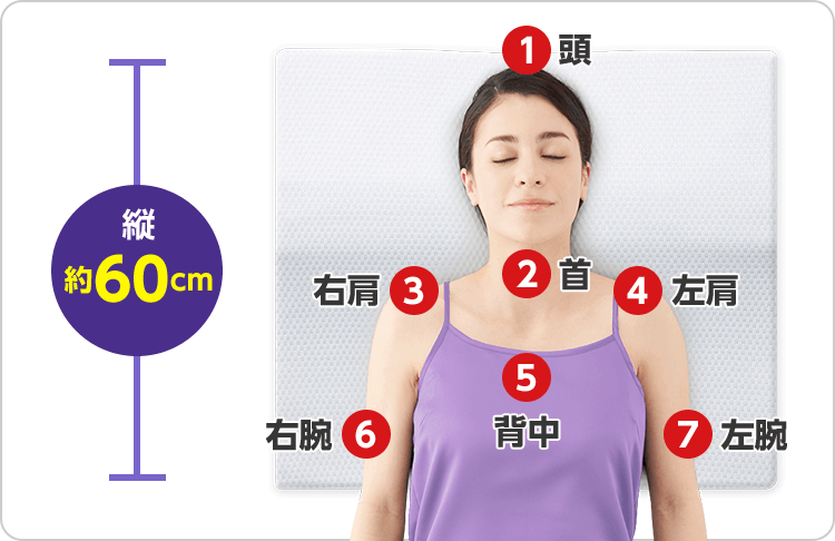 縦約60cm 1頭 2首 3右肩 4左肩 5背中 6右腕 7左腕