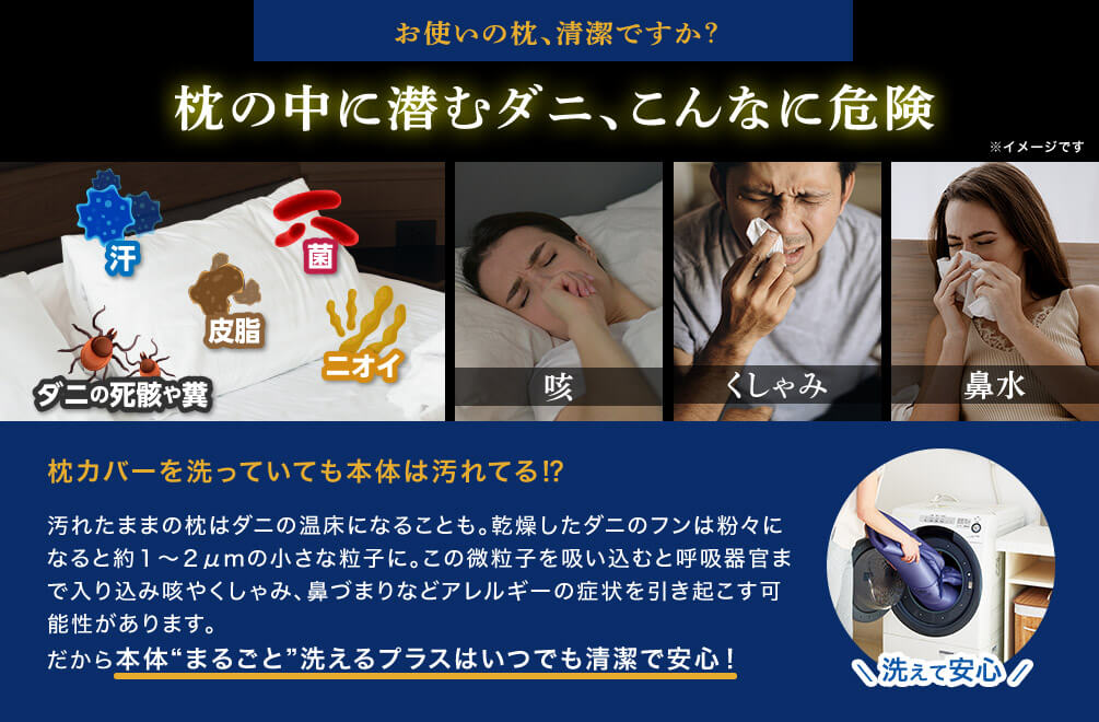 お使いの枕、清潔ですか? 枕の中に潜むダニ、こんなに危険 ※イメージです 汗 皮脂 菌 ダニの死骸や糞 ニオイ 咳 くしゃみ 鼻水 枕カバーを洗っていても本体は汚れてる!? 汚れたままの枕はダニの温床になることも。乾燥したダニのフンは粉々になると約1~2μmの小さな粒子に。この微粒子を吸い込むと呼吸器官まで入り込み咳やくしゃみ、鼻づまりなどアレルギーの症状を引き起こす可能性があります。だから本体“まるごと”洗えるプラスはいつでも清潔で安心! 洗えて安心