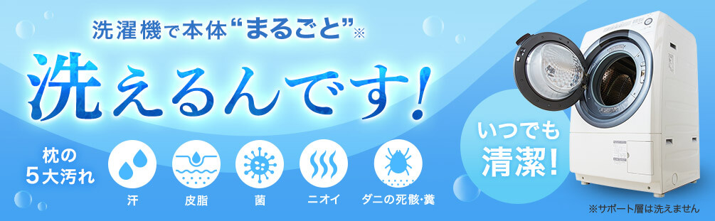洗濯機で本体“まるごと”※洗えるんです! 枕の5大汚れ 汗 皮脂 菌 ニオイ ダニの死骸・糞 いつでも清潔! ※サポート層は洗えません
