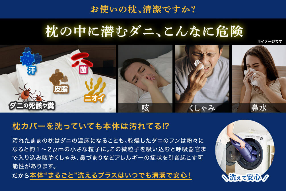 お使いの枕、清潔ですか? 枕の中に潜むダニ、こんなに危険 ※イメージです 汗 皮脂 菌 ダニの死骸や糞 ニオイ 咳 くしゃみ 鼻水 枕カバーを洗っていても本体は汚れてる!? 汚れたままの枕はダニの温床になることも。乾燥したダニのフンは粉々になると約1~2μmの小さな粒子に。この微粒子を吸い込むと呼吸器官まで入り込み咳やくしゃみ、鼻づまりなどアレルギーの症状を引き起こす可能性があります。だから本体“まるごと”洗えるプラスはいつでも清潔で安心! 洗えて安心