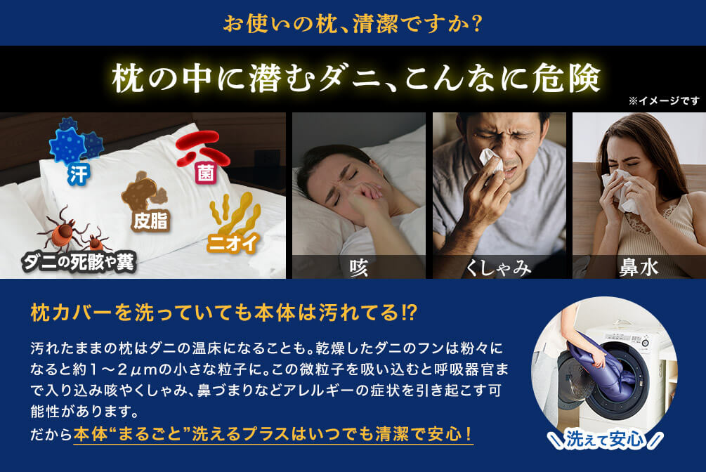 お使いの枕、清潔ですか？ 枕の中に潜むダニ、こんなに危険 ※イメージです 汗 皮脂 菌 ダニの死骸や糞 ニオイ 咳 くしゃみ 鼻水 枕カバーを洗っていても本体は汚れてる！？ 汚れたままの枕はダニの温床になることも。乾燥したダニのフンは粉々になると約1～2μmの小さな粒子に。この微粒子を吸い込むと呼吸器官まで入り込み咳やくしゃみ、鼻づまりなどアレルギーの症状を引き起こす可能性があります。だから本体“まるごと”洗えるプラスはいつでも清潔で安心！ 洗えて安心