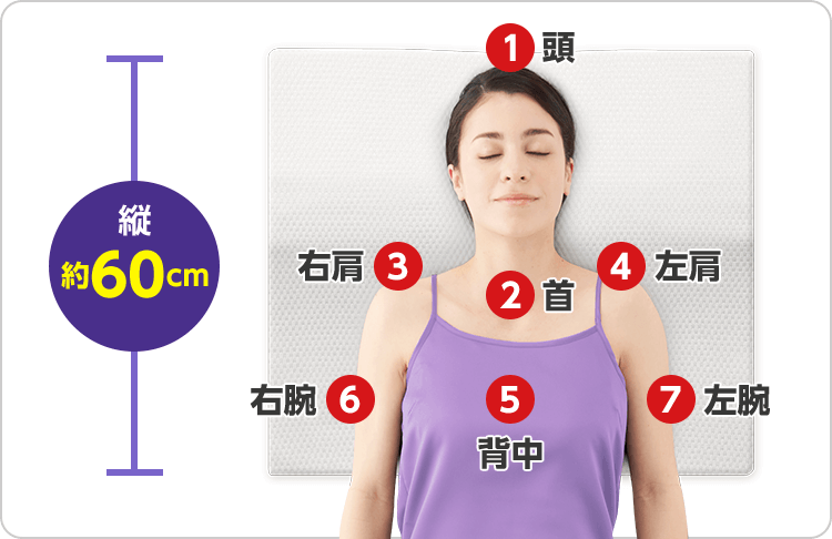 縦約60cm 1頭 2首 3右肩 4左肩 5背中 6右腕 7左腕