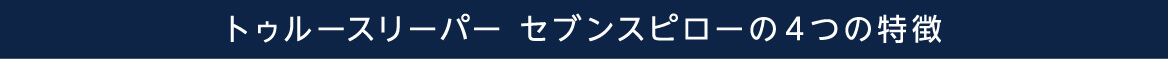 トゥルースリーパー セブンスピローの4つの特徴