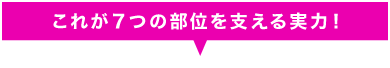 これが7つの部位を支える実力!