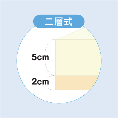 トゥルースリーパー プレミアケア（二層式）画像