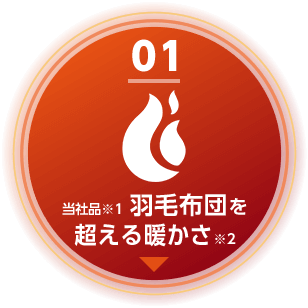01 ヒートモアは当社品※1羽毛布団を超える暖かさ※2