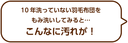 10年洗っていない羽毛布団をもみ洗いしてみると…こんなに汚れが！