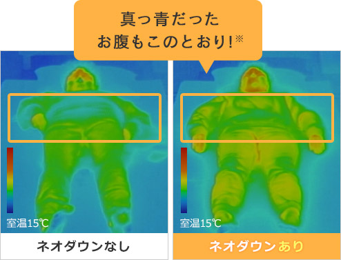 真っ青だった お腹もこのとおり!※ 室温15℃ ネオダウンなし 室温15℃ ネオダウンあり