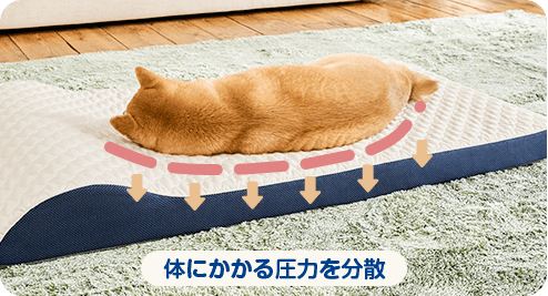 体にかかる圧力を分散