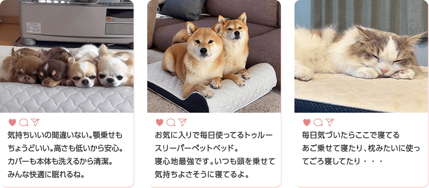 気持ちいいの間違いない。顎乗せもちょうどいい。高さも低いから安心。カバーも本体も洗えるから清潔。みんな快適に眠れるね。 お気に入りで毎日使ってるトゥルースリーパーペットベッド。寝心地最強です。いつも頭を乗せて気持ちよさそうに寝てるよ。 毎日気づいたらここで寝てる あご乗せて寝たり、枕みたいに使ってごろ寝してたり…