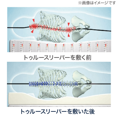 トゥルースリーパー 睡眠姿勢イメージ