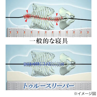 トゥルースリーパー プレミアム 睡眠姿勢イメージ
