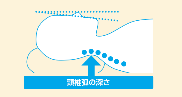 頸椎弧の深さ