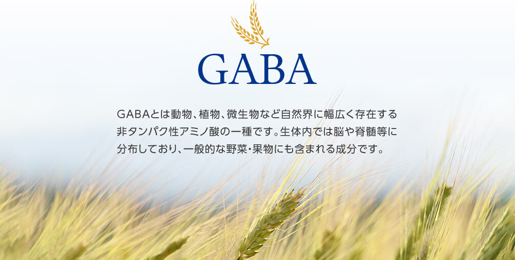 GABA GABAとは動物、植物、微生物など自然界に幅広く存在する 非タンパク性アミノ酸の一種です。生体内では脳や脊髄等に 分布しており、一般的な野菜・果物にも含まれる成分です。