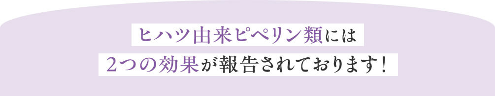 ヒハツ由来ピペリン類には 2つの効果が報告されております！