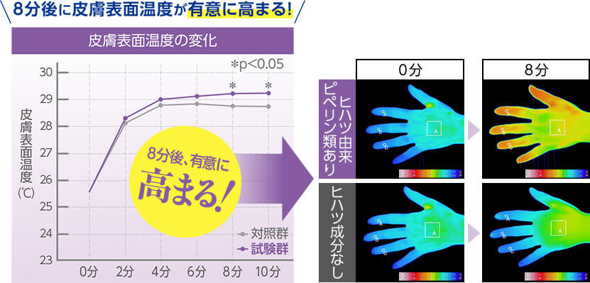 8分後に皮膚表面温度が有意に高まる！ 皮膚表面温度の変化 皮膚表面温度（℃） 8分後、有意に高まる！ 対照群 試験群 0分 2分 4分 6分 8分 10分 ヒハツ由来ピペリン類あり ヒハツ成分なし 0分 8分