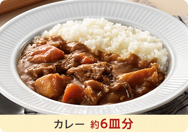 カレー 約6皿分