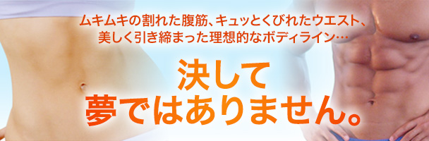 ムキムキの割れた腹筋、キュッとくびれたウエスト、美しく引き締まった理想的なボディライン・・・ 決して夢ではありません。