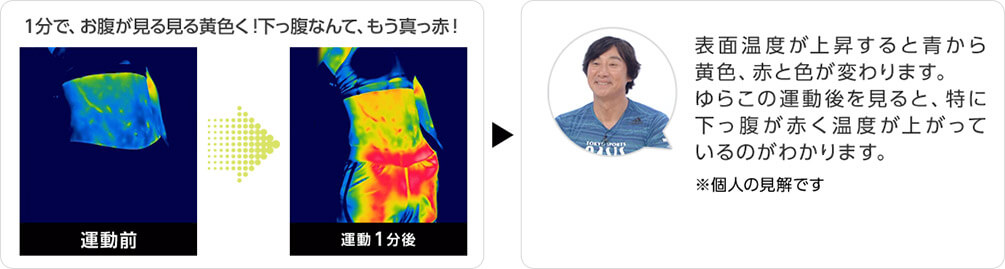1分で、お腹が見る見る黄色く!下っ腹なんて、もう真っ赤! 運動前 運動1分後 表面温度が上昇すると青から黄色、赤と色が変わります。ゆらこの運動後を見ると、特に下っ腹が赤く温度が上がっているのがわかります。 ※個人の見解です