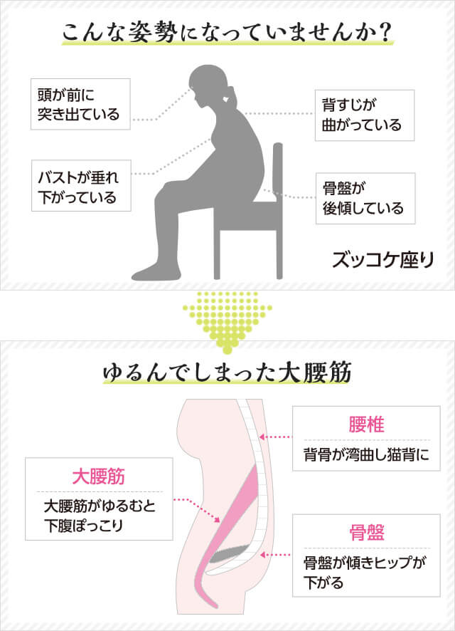 こんな姿勢になっていませんか? 頭が前に突き出ている バストが垂れ下がっている 背すじが曲がっている 骨盤が後傾している ズッコケ座り → ゆるんでしまった大腰筋 大腰筋 大腰筋がゆるむと下腹ぽっこり 腰椎 背骨が湾曲し猫背に 骨盤 骨盤が傾きヒップが下がる