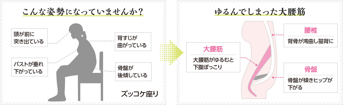 こんな姿勢になっていませんか? 頭が前に突き出ている バストが垂れ下がっている 背すじが曲がっている 骨盤が後傾している ズッコケ座り → ゆるんでしまった大腰筋 大腰筋 大腰筋がゆるむと下腹ぽっこり 腰椎 背骨が湾曲し猫背に 骨盤 骨盤が傾きヒップが下がる