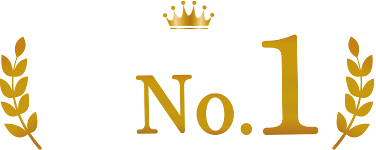 2024年度ハンディ掃除機市場売上金額No.1！
