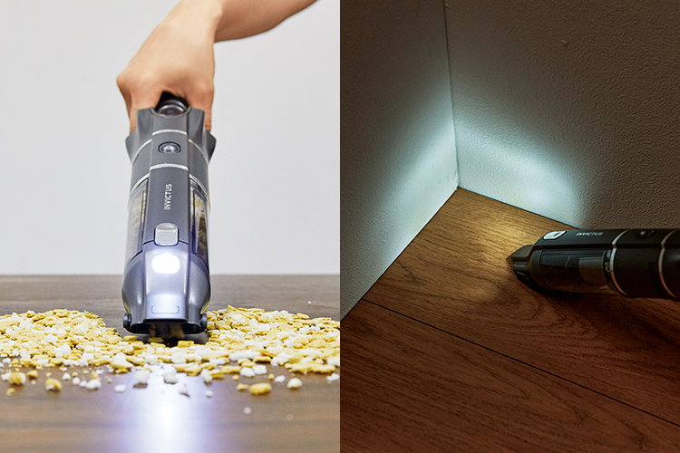 インビクタスワングランドのLEDライトイメージ