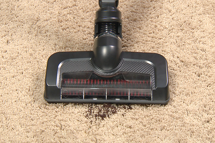 インビクタスワングランドの強い吸引力を表すイメージ