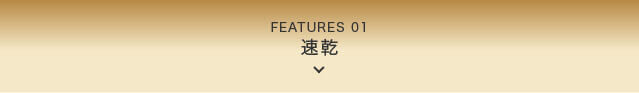 FEATURES 01 速乾