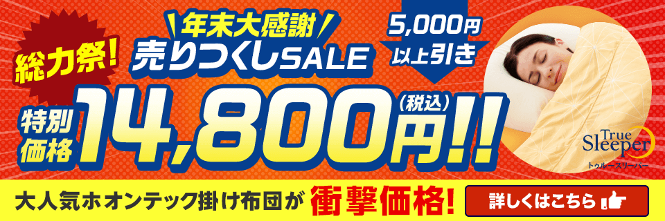 トゥルースリーパー ホオンテック掛け布団