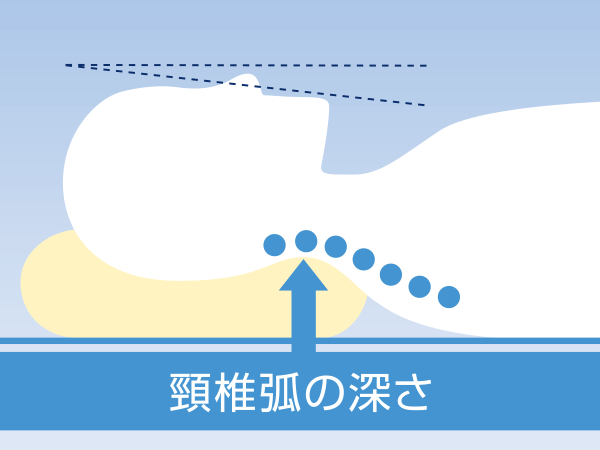 頸椎弧の深さ