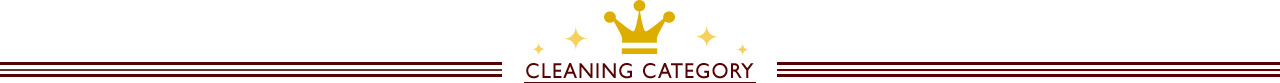 CLEANING CATEGORY