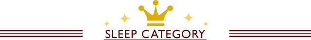 SLEEP CATEGORY