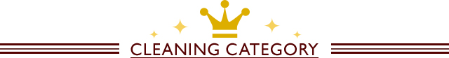 CLEANING CATEGORY