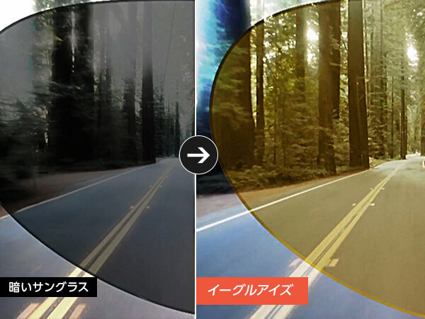 暗いサングラス イーグルアイズ