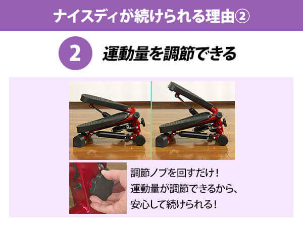 健康ステッパー ナイスデイ5
