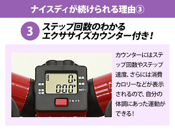 健康ステッパー ナイスデイ6