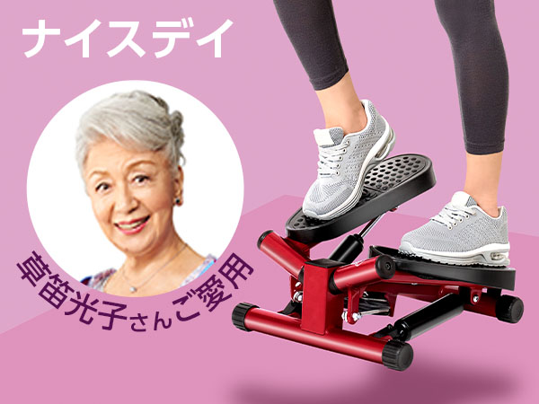 健康ステッパー ナイスデイ