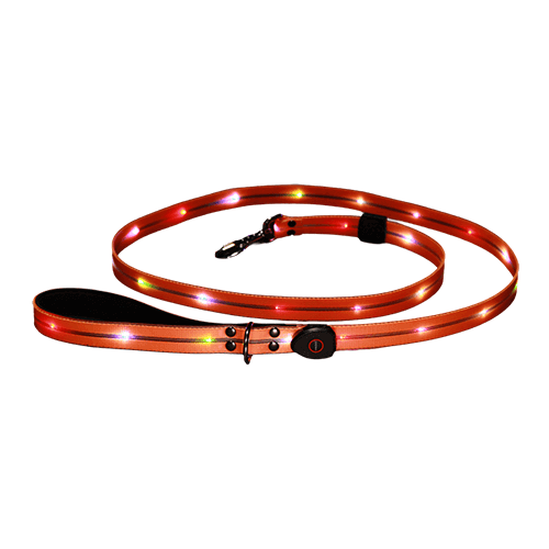 �y�����z�t���b�V���Z�[�t�e�B���[�V��LED���ڂ̌��郊�[�h�B