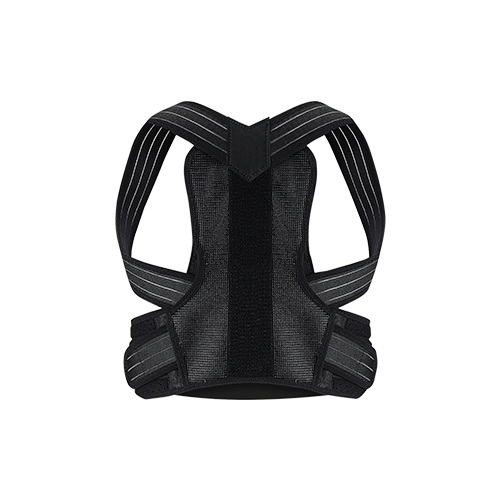 �y�����z�C���X�^���g�|�X�`���[ 2�Z�b�g L-XL×L-XL���̏ォ��g����ȒP�����̎p���T�|�[�g�x���g�B