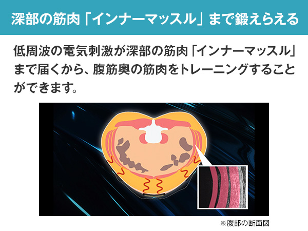 ロ*ー様 ほぼ未使用●アクティブスレンダー● 男女兼用 ながら部位トレ ショップ ロ*ー様 ほぼ未使用○アクティブスレンダー○ 男女兼用 ながら部位トレ