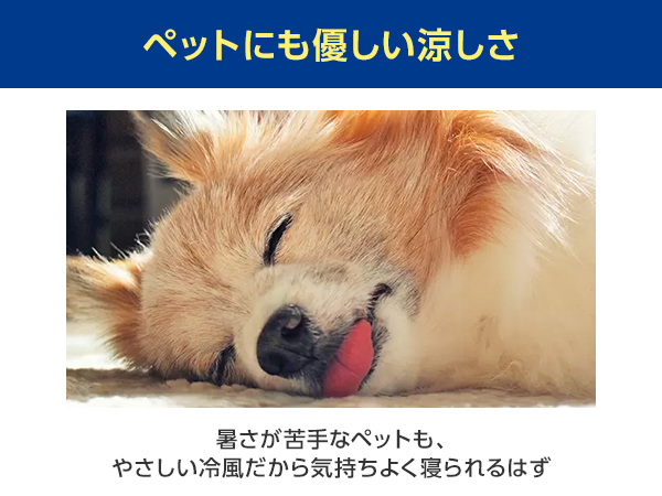 SHOP JAPAN ここひえR3