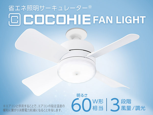 ここひえ ファンライト
