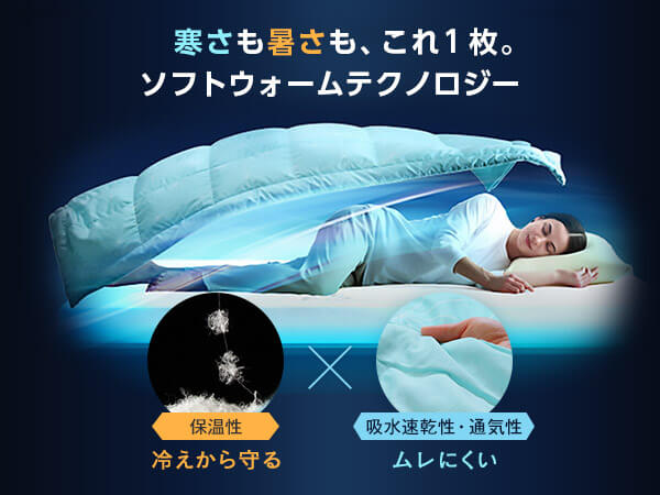 トゥルースリーパー 肌掛け布団 ネオダウン掛け布団 2枚セット