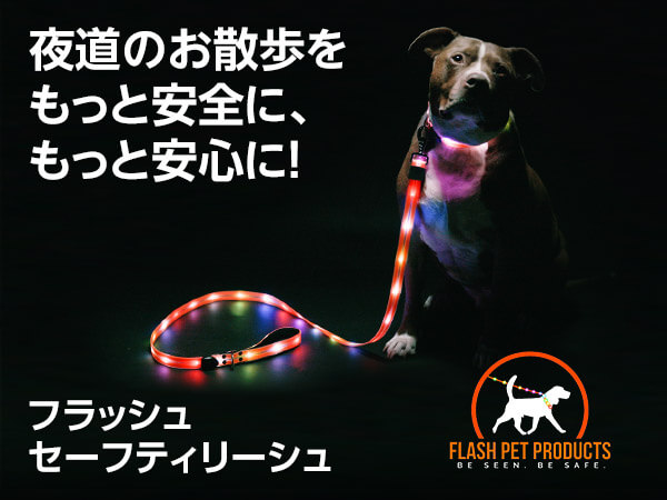 フラッシュセイフティリーシュ